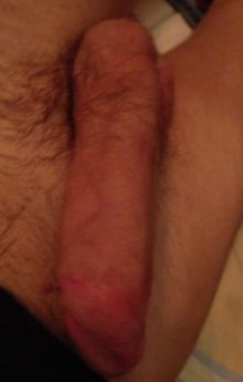 Peeters candidat acteur porno gay