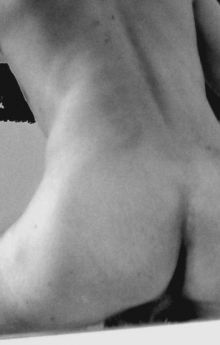 Stany x candidat acteur porno gay
