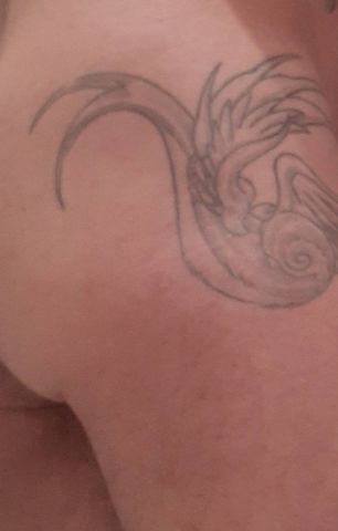 Bo candidat acteur porno gay