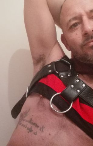 Dick candidat acteur porno gay